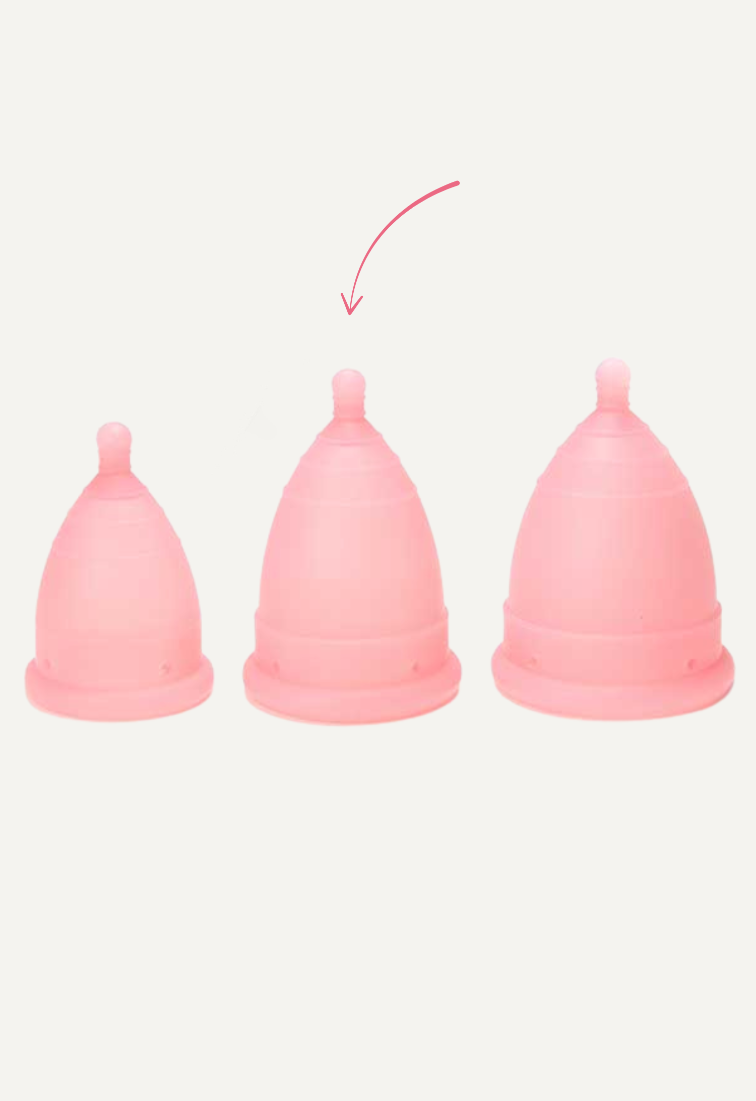 MonthlyCup Normal Rosa gallery